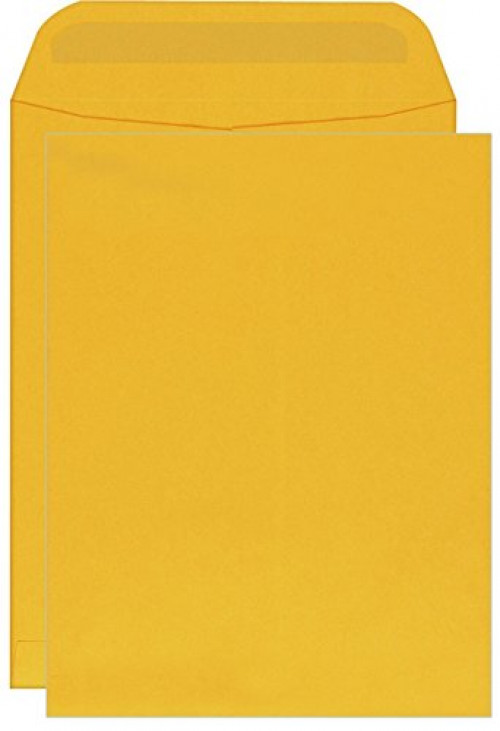 10 X 13 Catalog Envelopes Brown Kraft 28lb. Big Envelopesopen Side