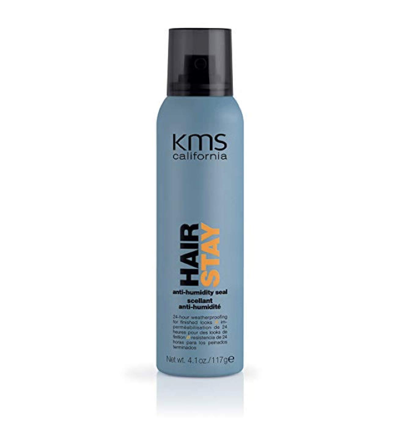 Kms California Hair Stay Anti Humidity Seal 4 1 Oz Ebay